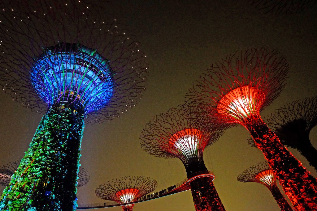 Gardens by the Bay, Singapore. Photo by Stephen Brown