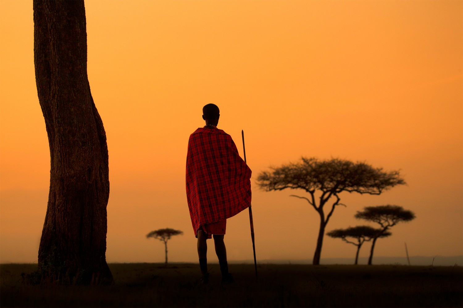 Survival in the Serengeti
