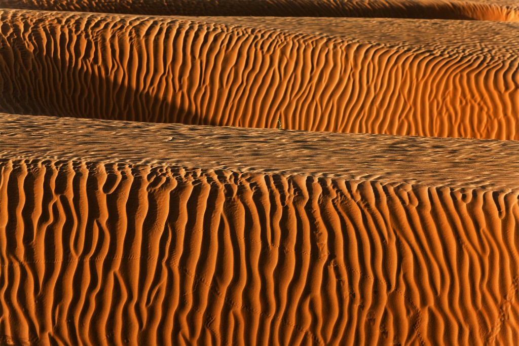 Striated sand patterns across the Merzouga Desert, Sahara