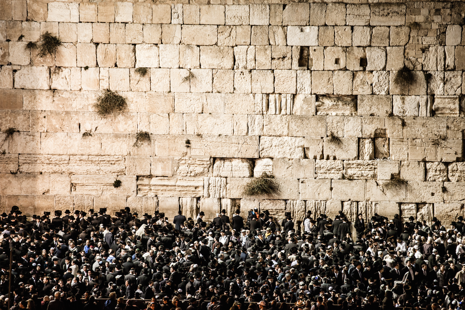 Jerusalem Conquered, destroyed, recaptured and rebuilt: the layers of Jerusalem’s history represent a plateau of monotheistic religions. Despite centuries of division and dispute between Christianity, Islam and Judaism, these religions are united by shared Abrahamic origins and by their mutual preoccupation with this holy city. This photo depicts prayers at the Western Wall Photo by Mariusz Prusaczyk