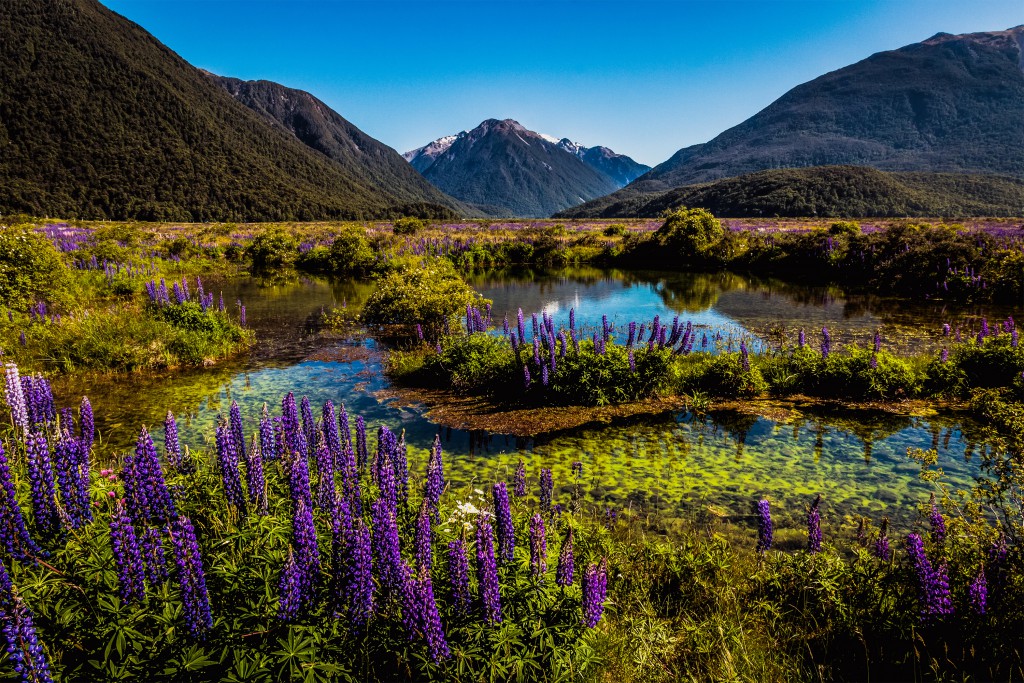 Arthur’s Pass, New Zealand. Photo by Kurt McManus