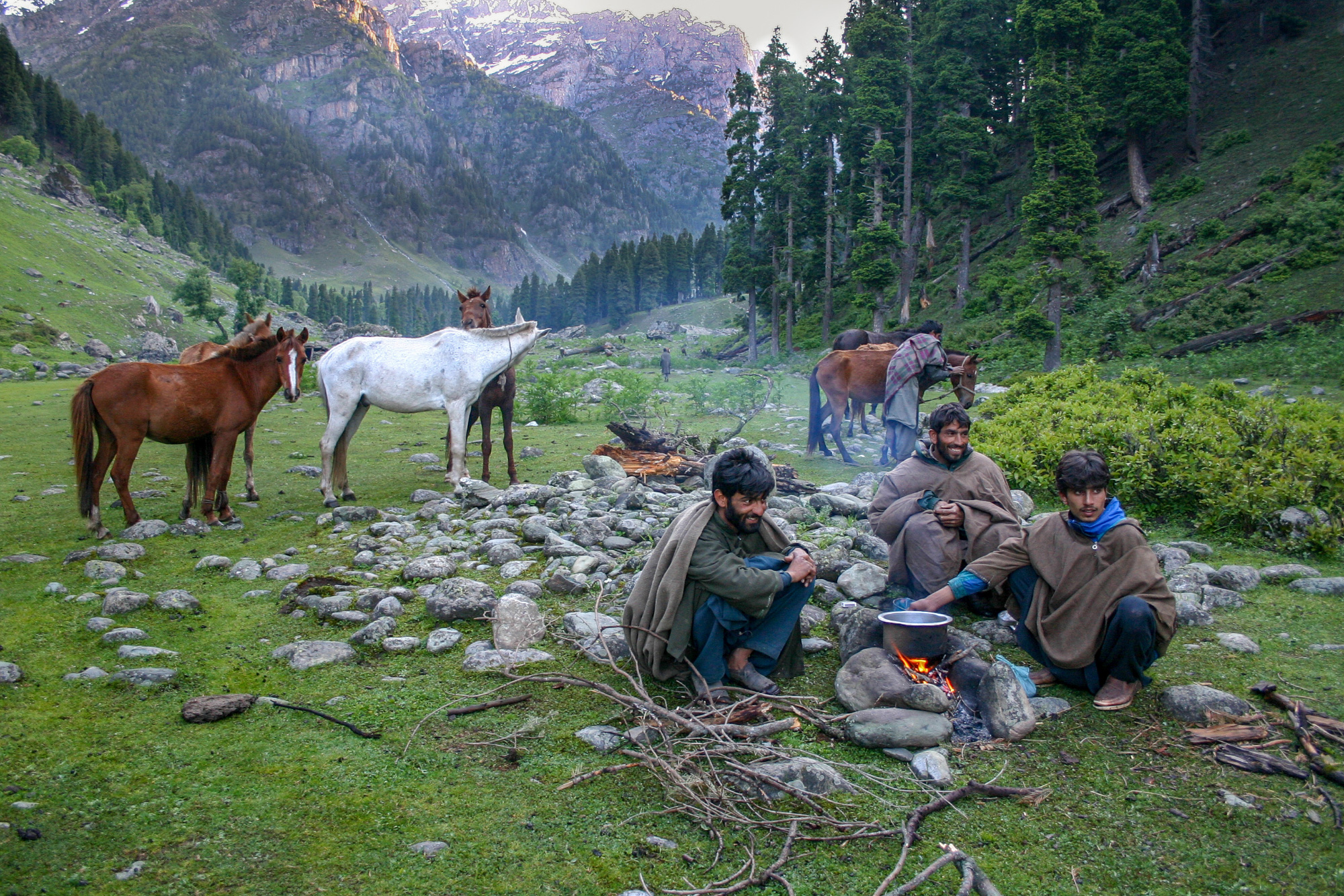 nomads travel in india