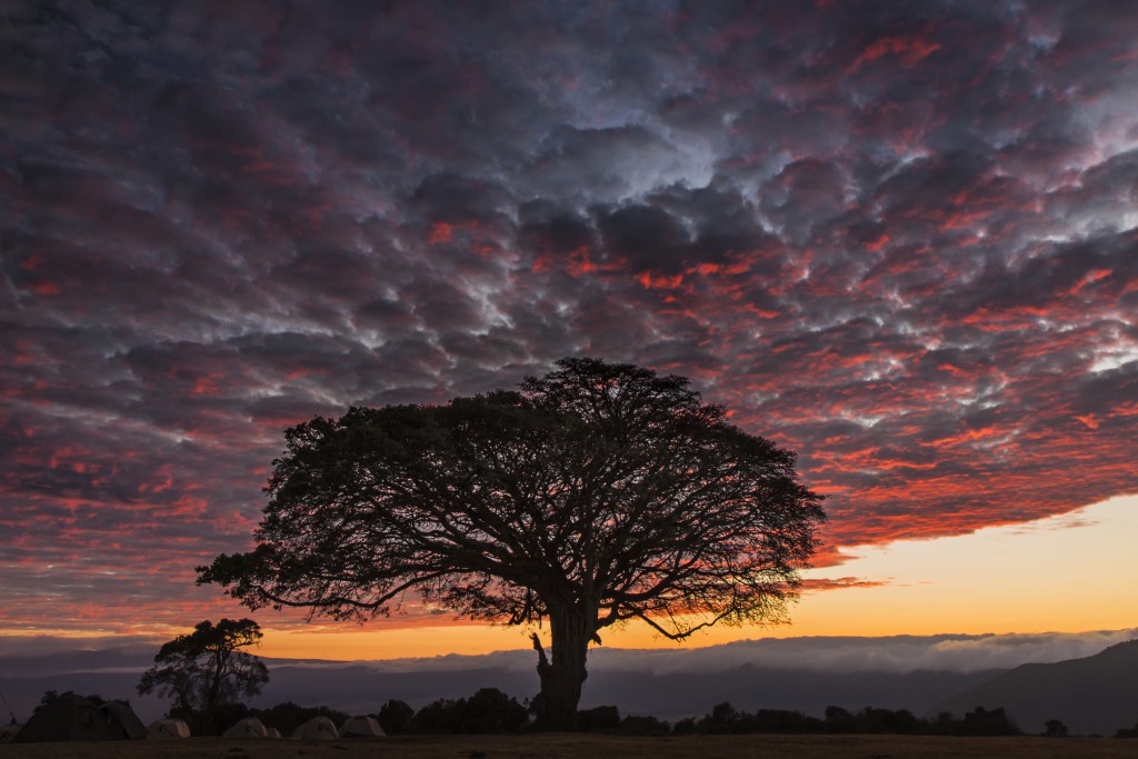 Dusk settles over the Serengeti. Photo by Marco Gaiotti