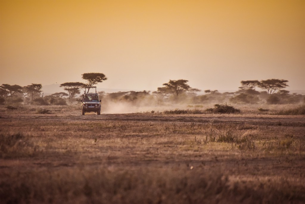 Game drive at sunset. Photo by Nick Walton