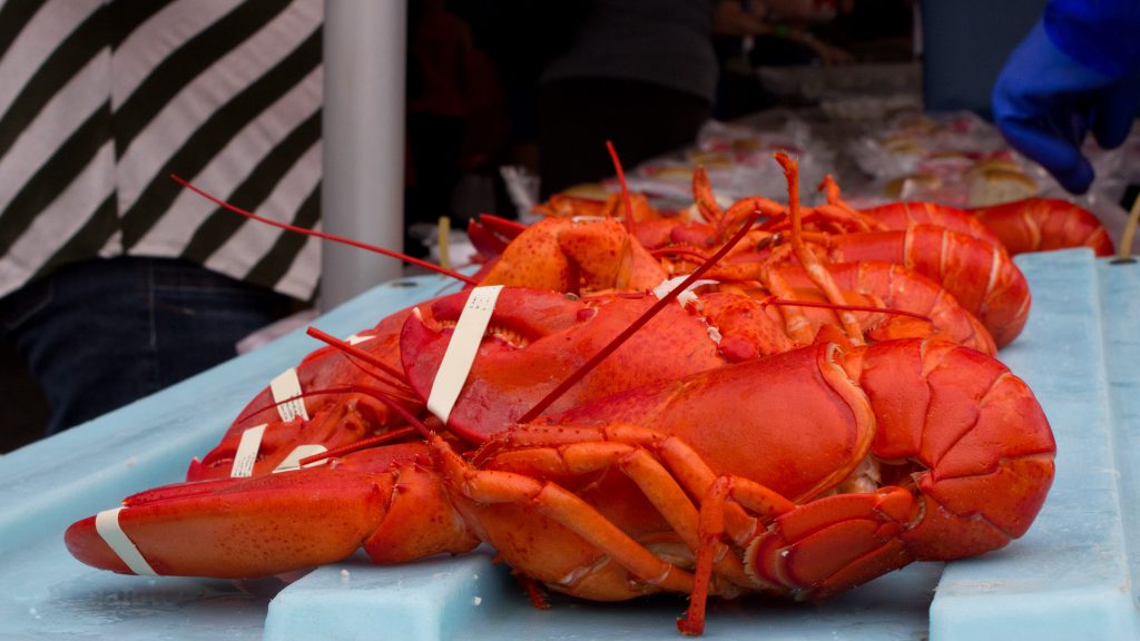 Maine Lobster Festival Destinations Magazine