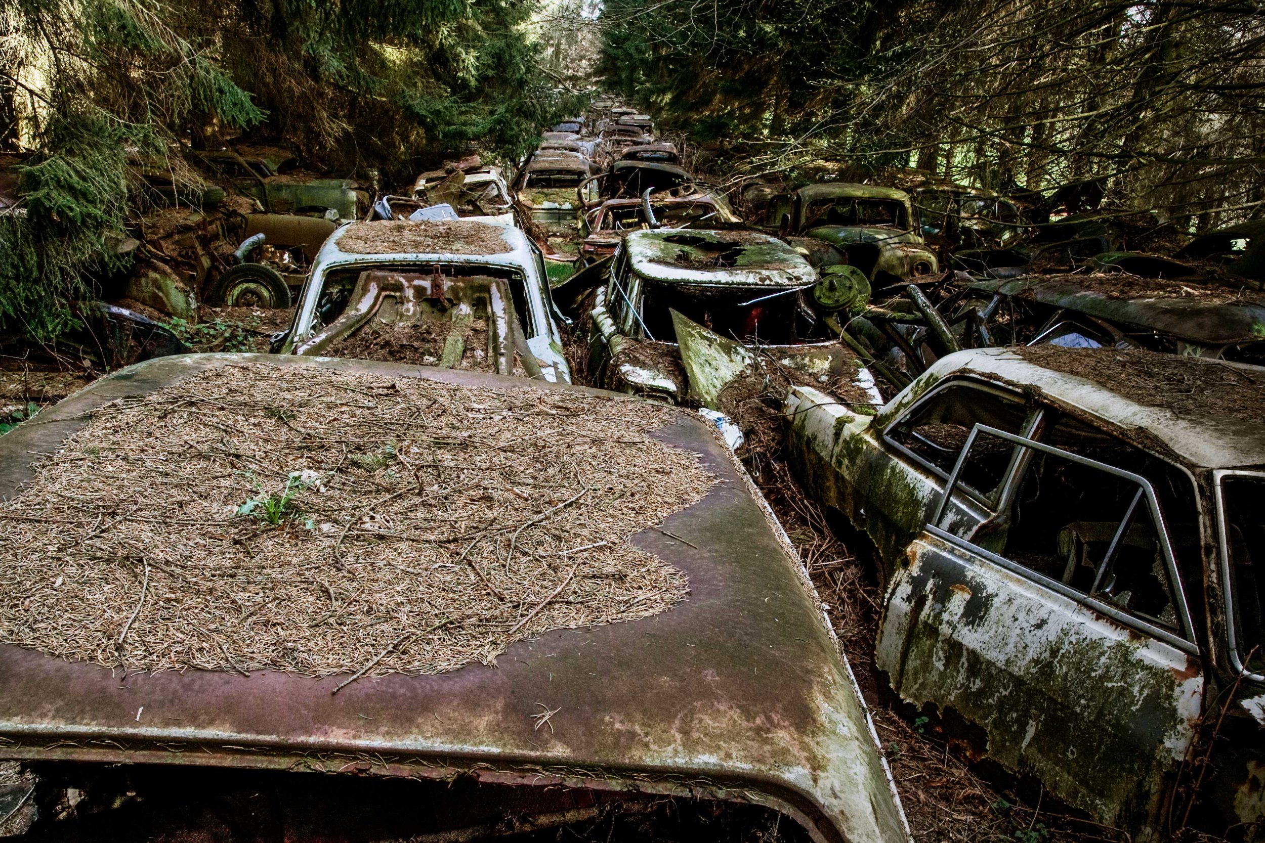 Long rows of derelict cars covered by vegetation in a forest, Chatillon, France