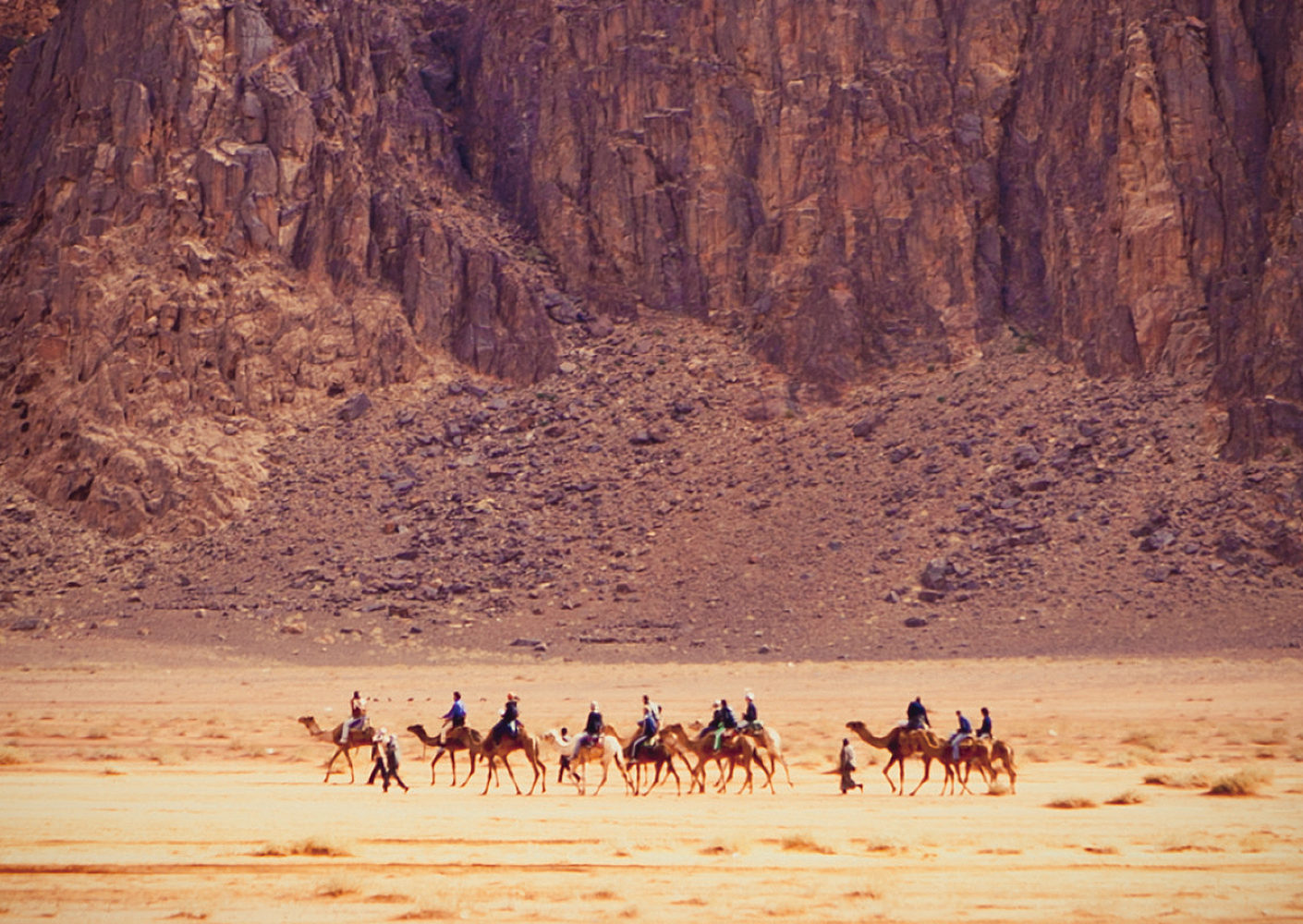 A line of camels with riders walking across the desert in Jordan with a brown craggy rock face backdrop