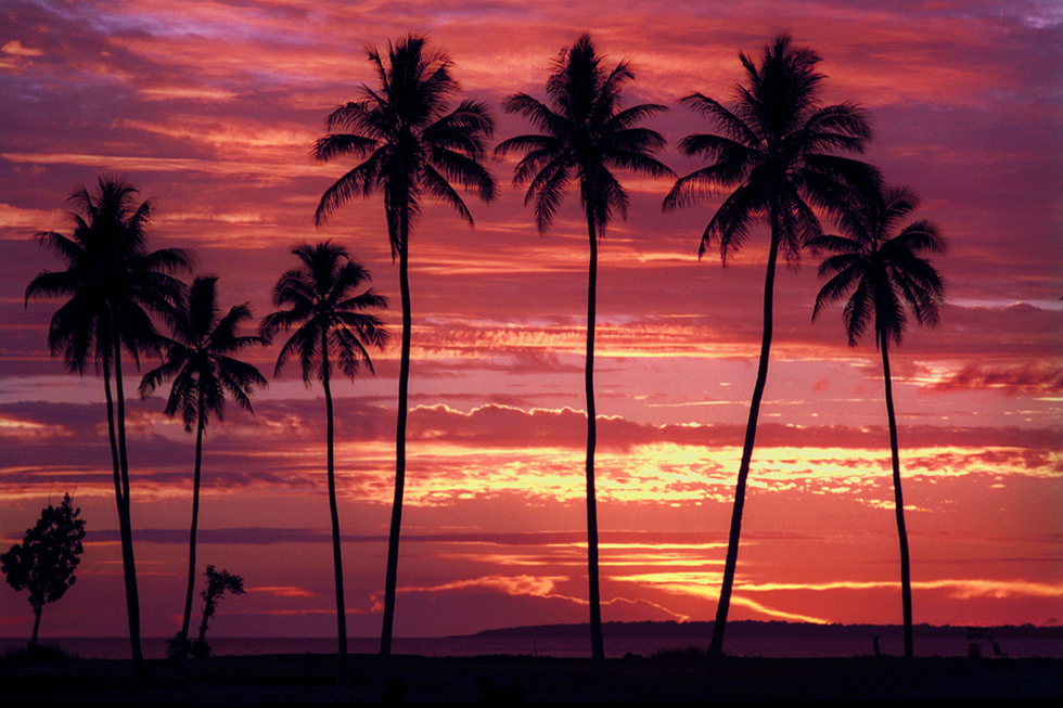 Sunsets and palm trees at Ratua Private Island.