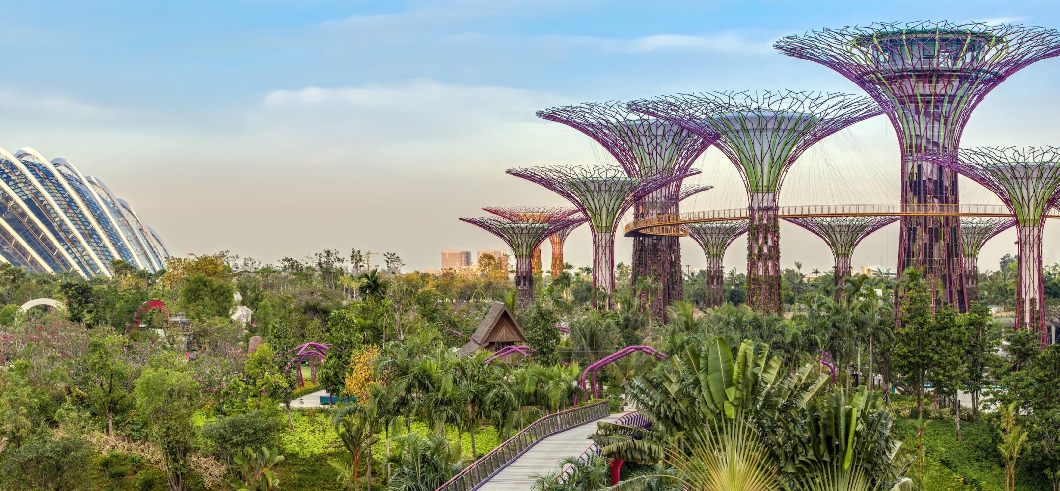 Image result for singapore garden city