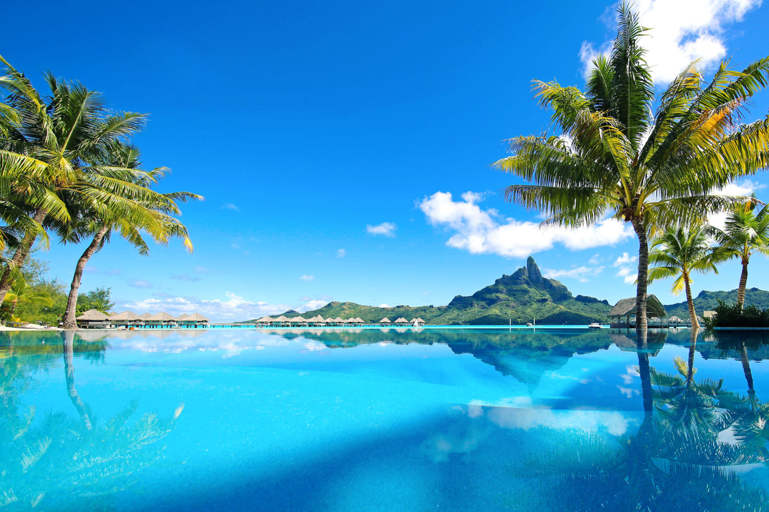 An infinity pool with palm trees on either side overlooking the sea, Over-water bungalows and a mountain in the distance