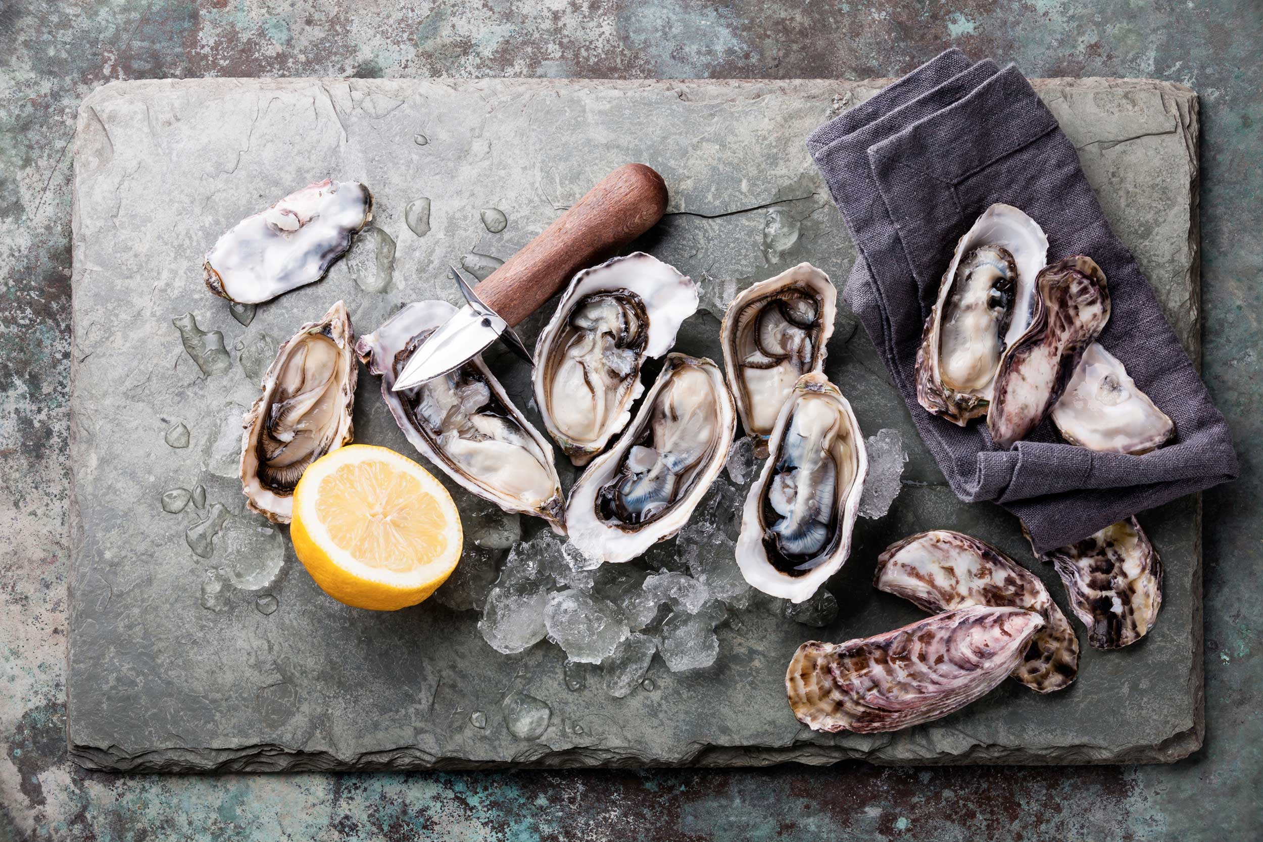 Bluff Oyster and Food Festival Destinations Magazine