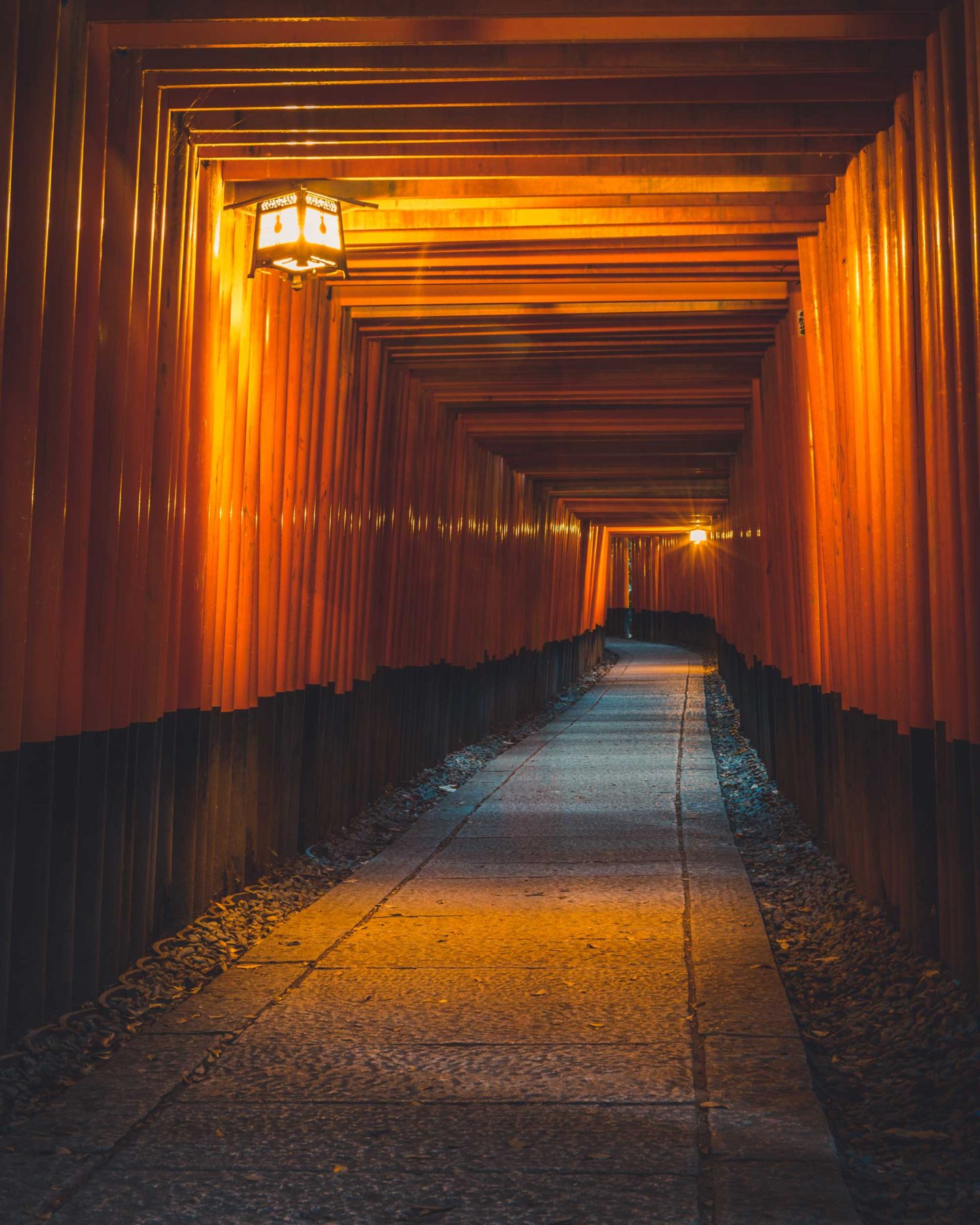 A pathway under orange, close-set torii gates, Japan