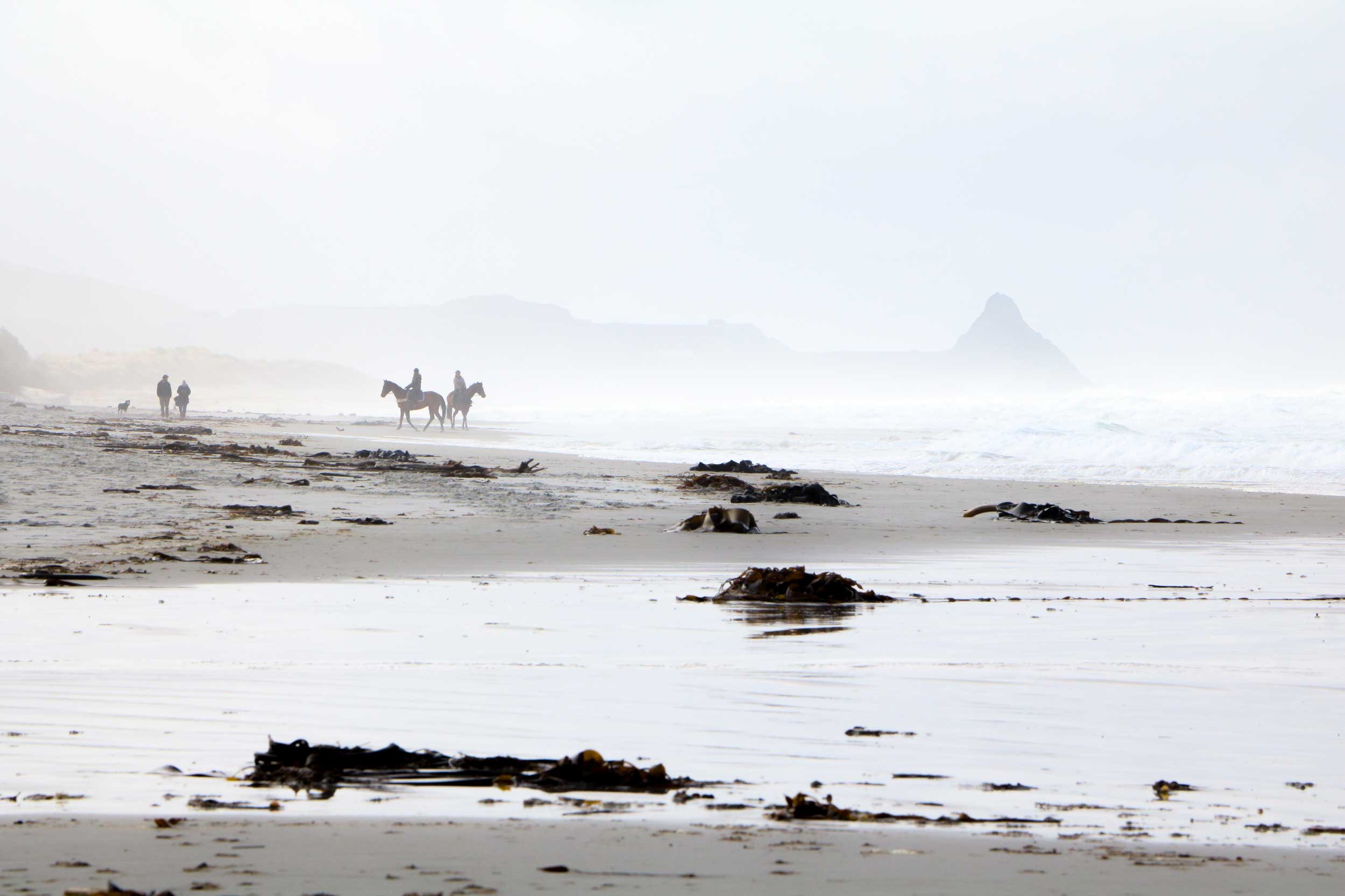 Misty image of two riders on horses and two walkers on a beach strewn with occasional clumps of sea kelp, Dunedin, New Zealand