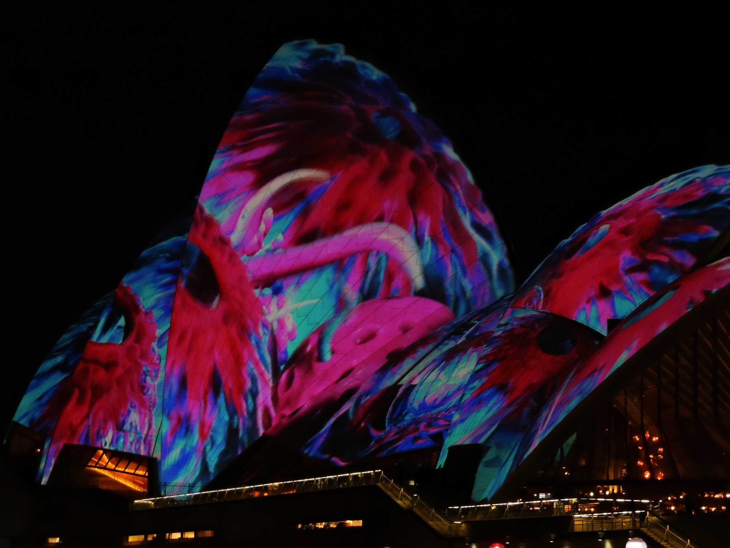 Brightly coloured desiggn on wings of the Opera House, Sydney