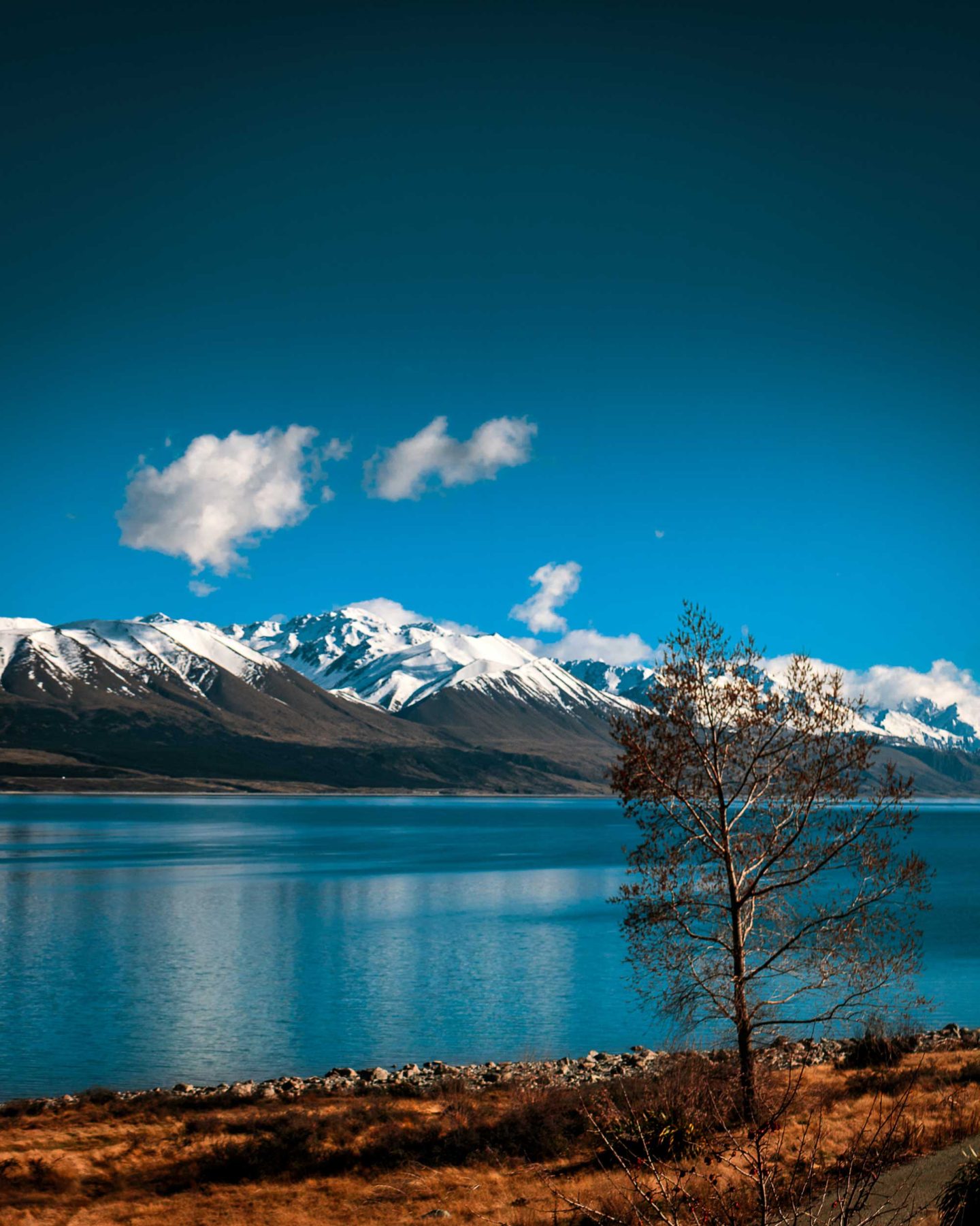 View across a blue lake to a snow-capped mountain range in the distance, South Island, NewZealand