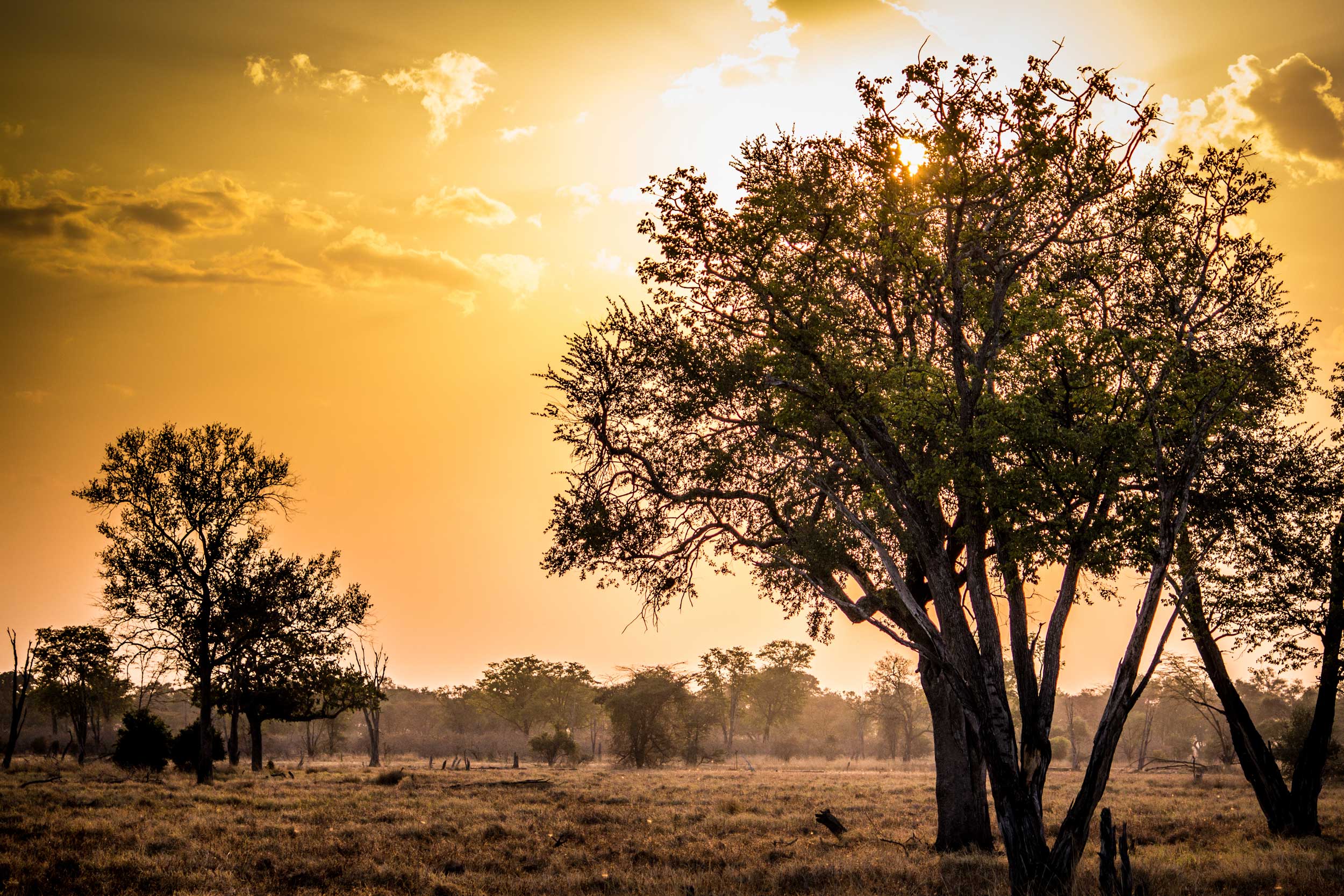 Sunset in South Luangwa National Park, zambia