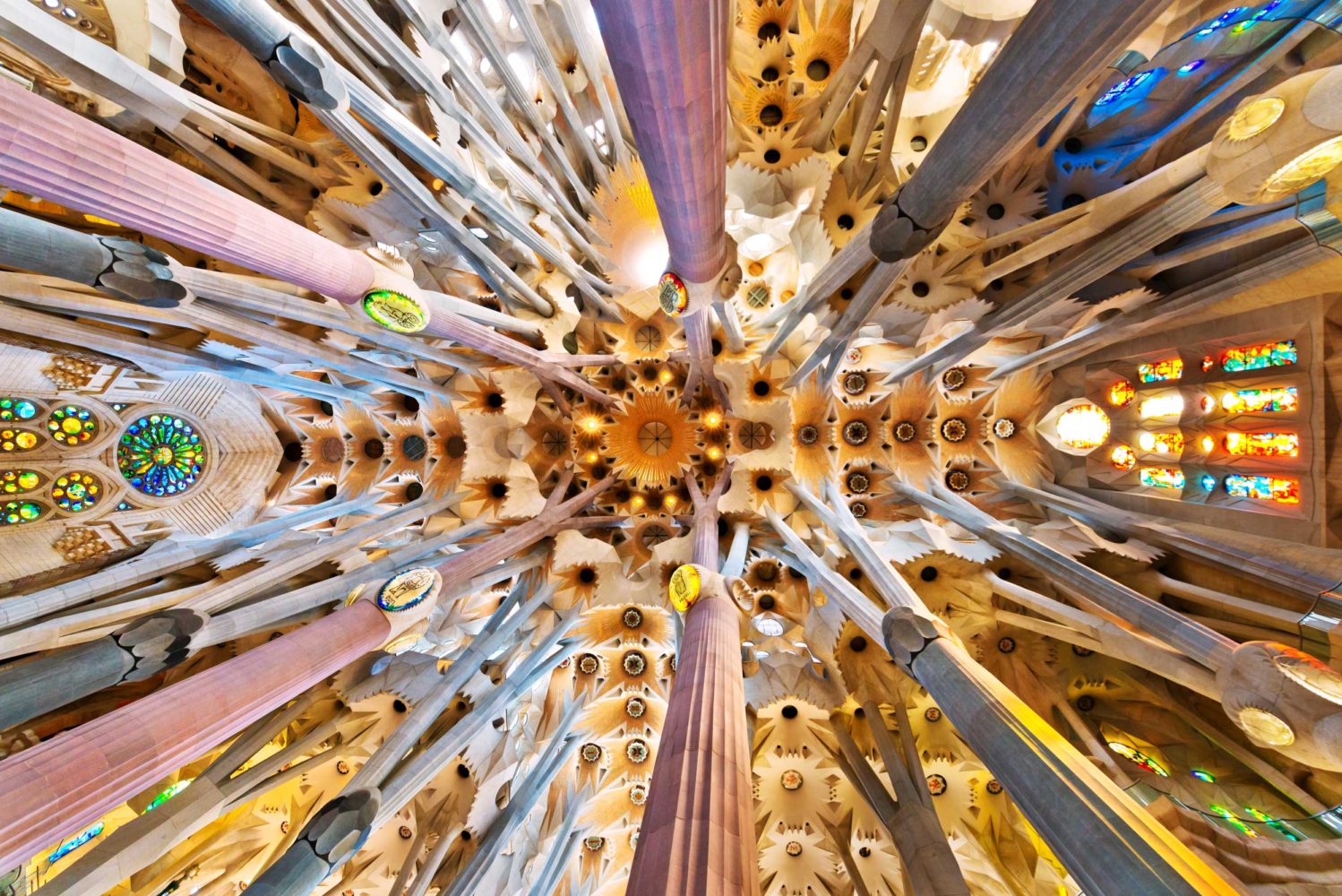 Colourful columns rising up to an elaborate ceiling, Barcelona, Spain