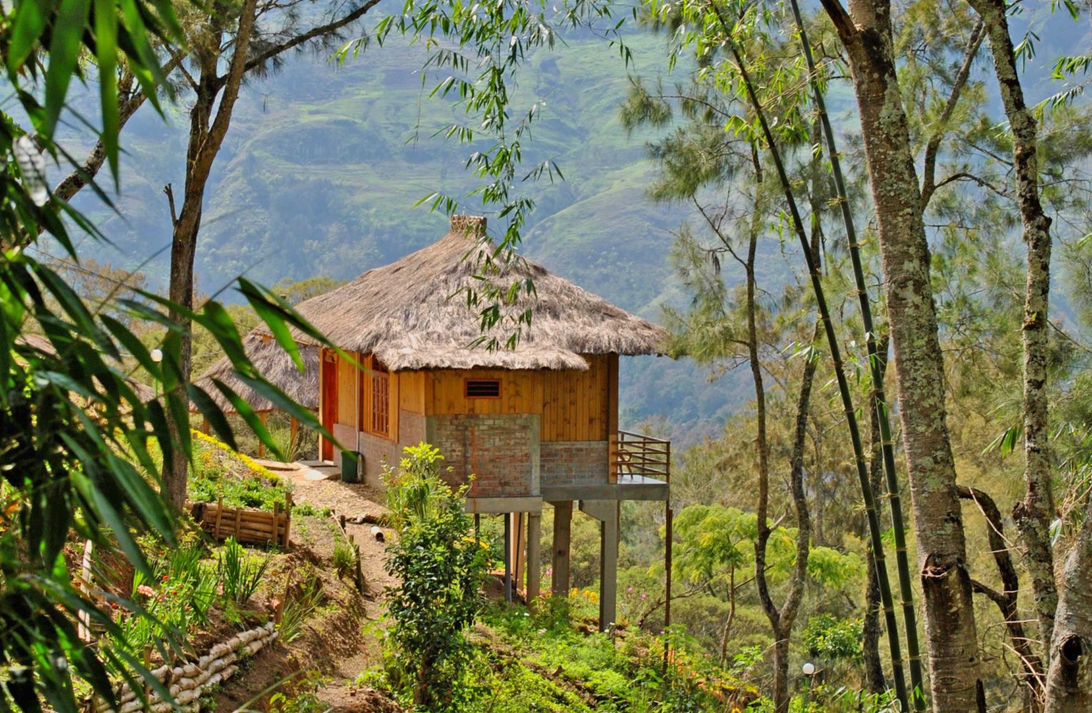 A hut on concrete stilts in the jungle of Timor-Leste