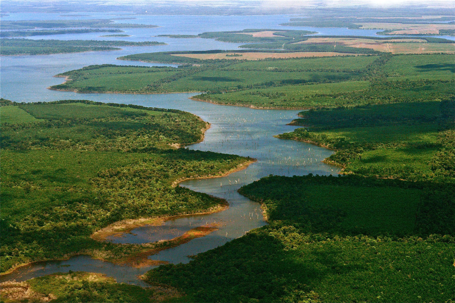 Aerial shot of numerous waterways in Argentina