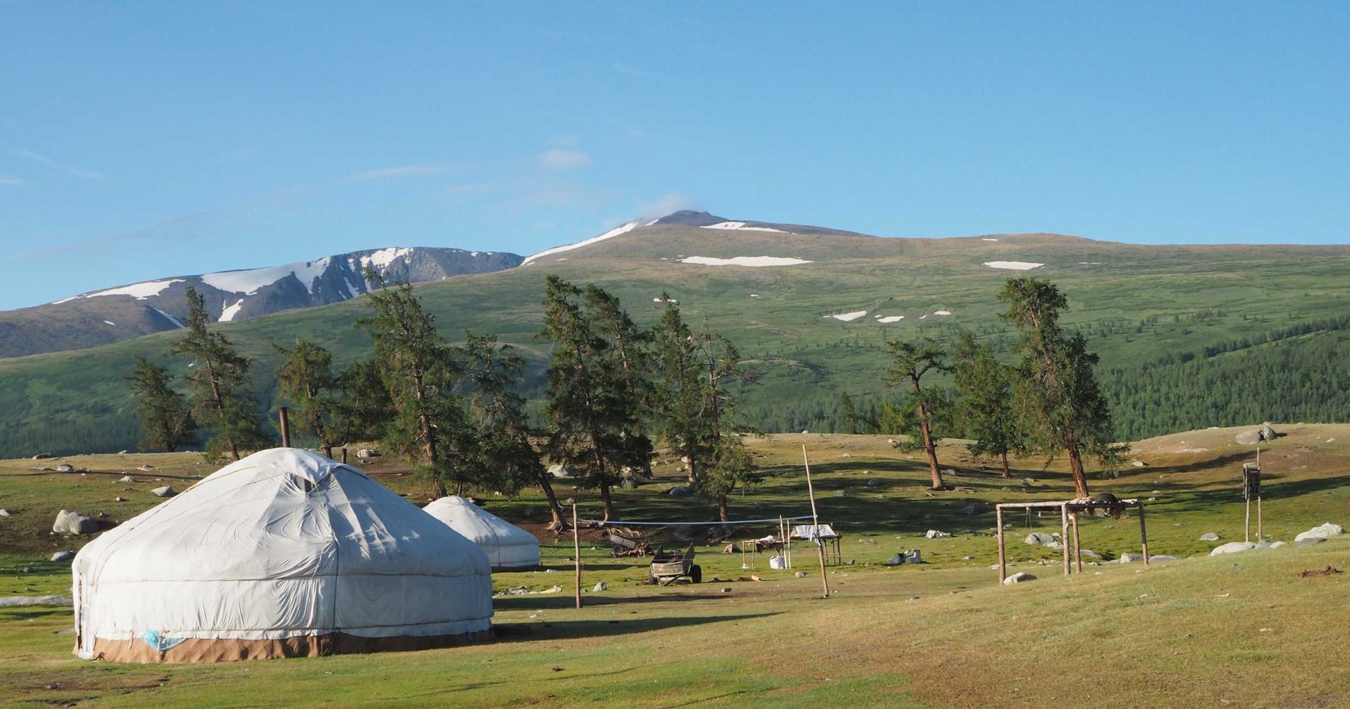 White yurts in a field with trees and snow capped mountain in the distance, Mongolia