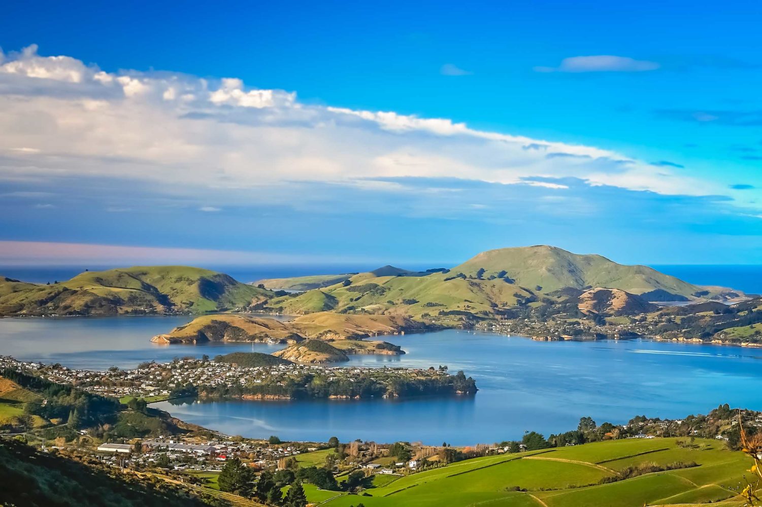 Dunedin: City Guide — Part One | Destinations Magazine